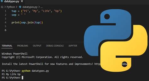 Stop Your Python Scripts from Closing Instantly on Windows A Complete Guide - How to keep a Python script output Window open [7 Ways] | bobbyhadz