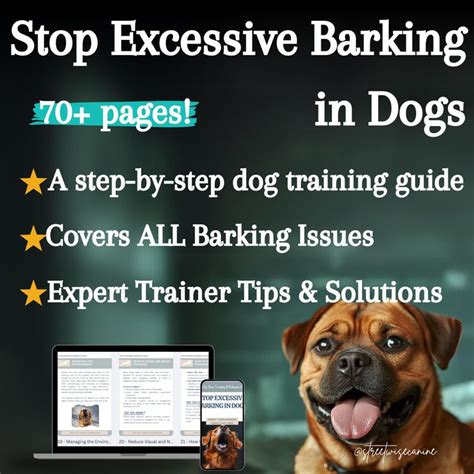 Stopping Excessive Barking and Chewing