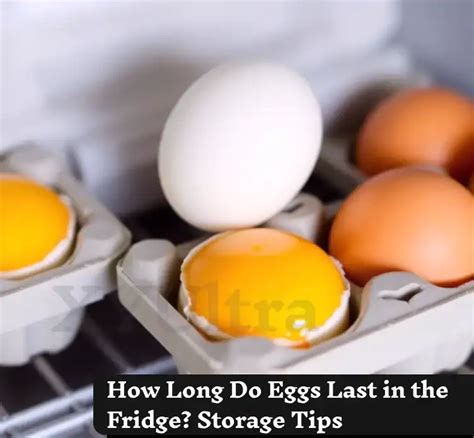 Storage Tips for Freshness