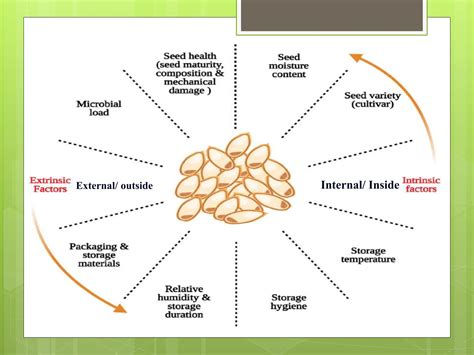 Storage and Longevity
