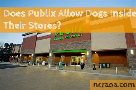 Stores That Allow Dogs