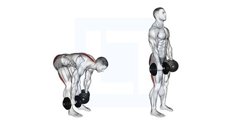 Straight Leg Deadlifts