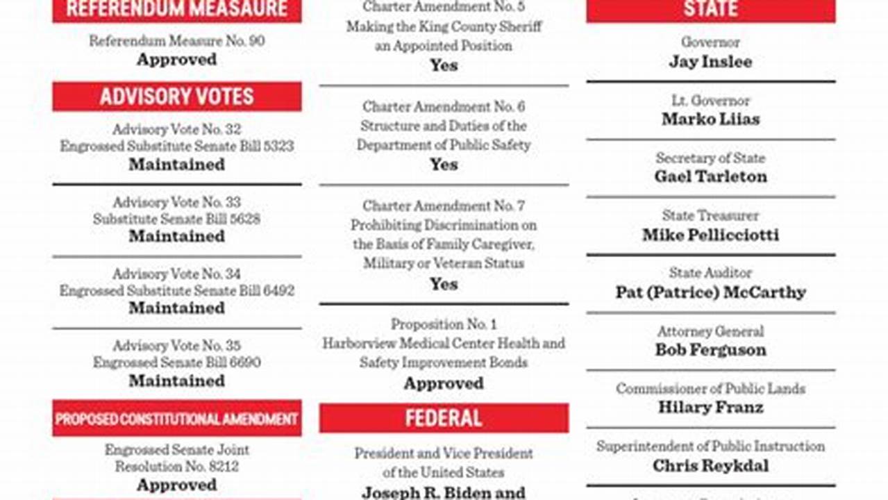 Stranger Voting Guide 2024