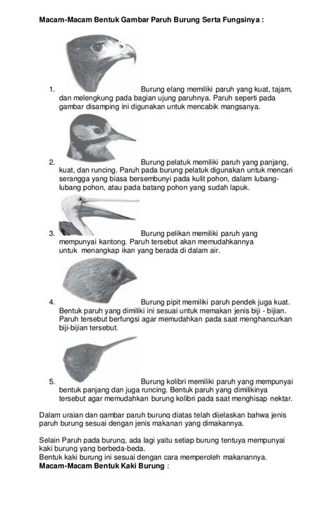 Strategi Pembiakan dan Perkembangan Burung Pemakan Biji-bijian