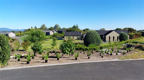 Strategic Planting and Landscaping