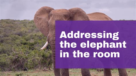 Strategies for Addressing the Elephant in the Room