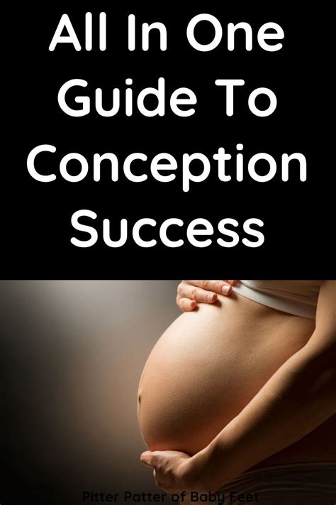 Strategies for Boosting Conception Success