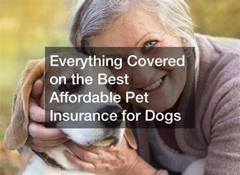 Strategies for Getting Affordable Coverage with a Dog