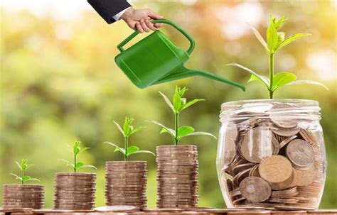 Strategizing Long-Term Savings