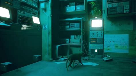 Before You Choose Your Furry Best Friend, Stray No More!