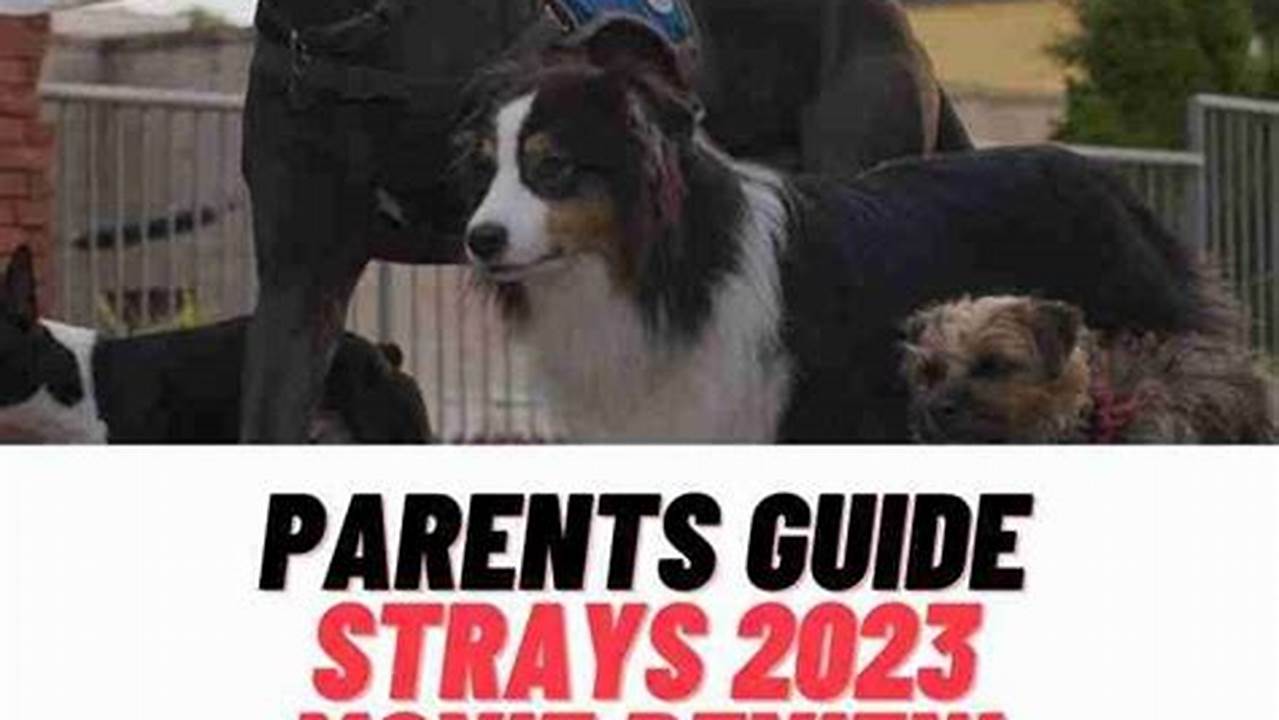 Strays Parents Guide 2025