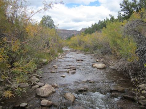 Streams in New Mexico
