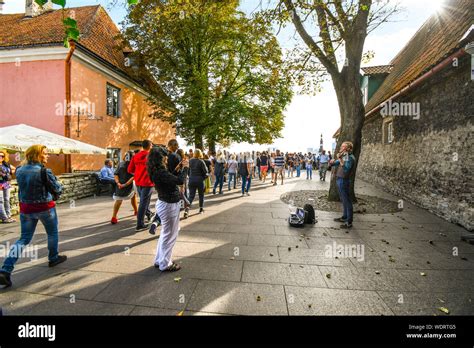 Street Performer Tallinn