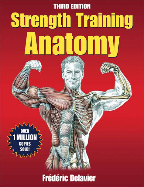 Strength Training Anatomy by Frederic Delavier Paperback