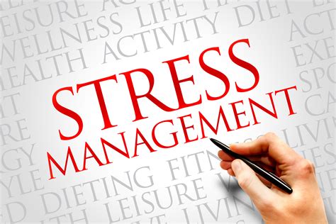 Stress Management and Wellness