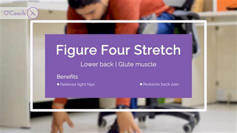 Stretch Exercise Research