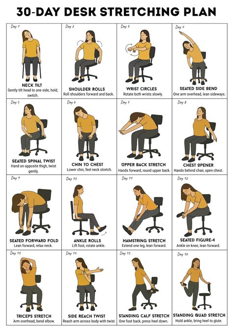 Stretch Exercises At Desk