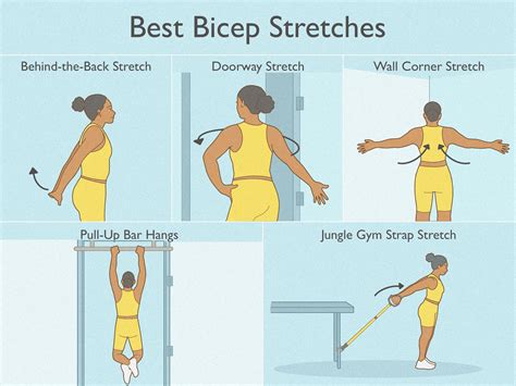 Stretch Exercises Near Me