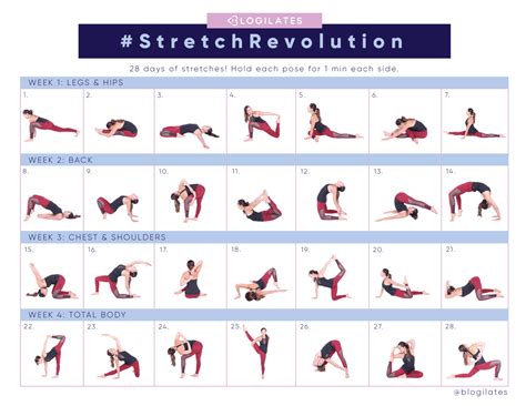 Stretch Exercises To Improve Flexibility