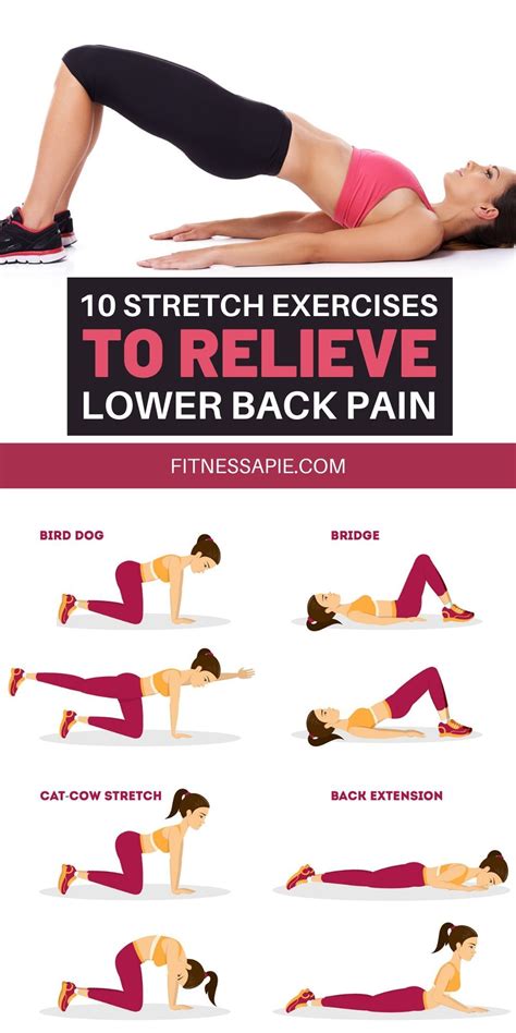 Stretch Exercises To Relieve Lower Back Pain