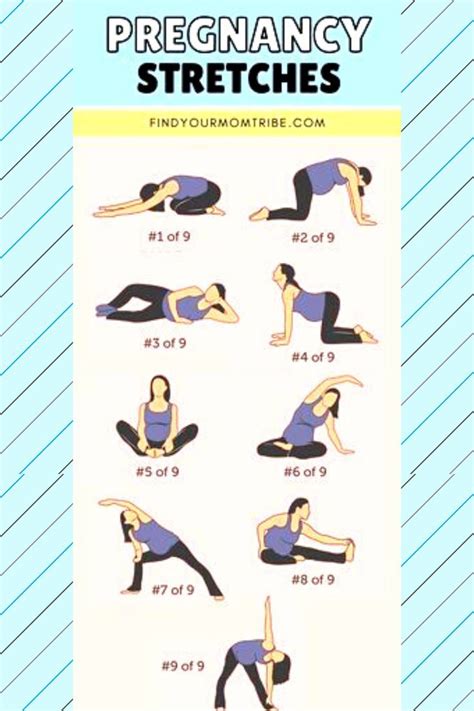 Stretch Exercises While Pregnant