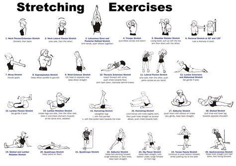 Stretch Exercises With Pictures