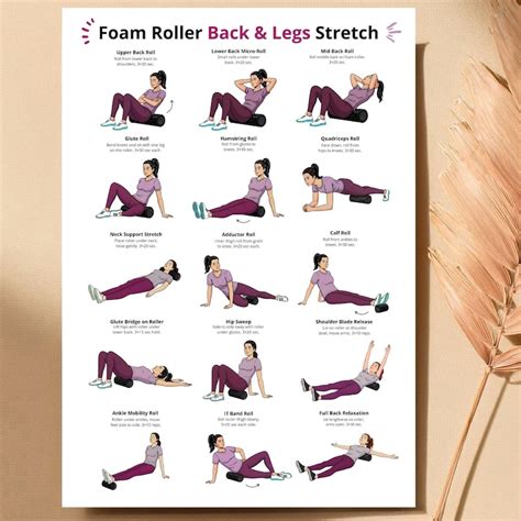 Stretch Roller Exercises
