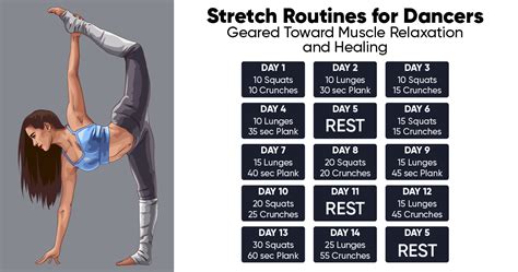 Stretch Routines For Dancers