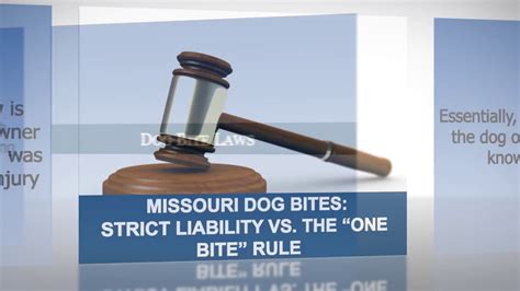 Strict Liability vs. One-Bite Rule