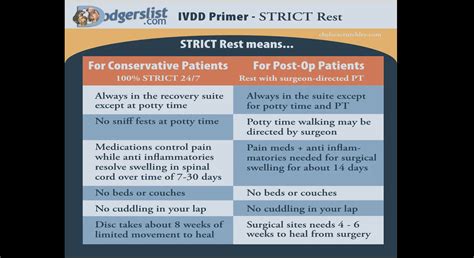 Strict Rest and Monitoring