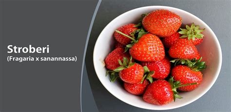 Antosianin dalam Stroberi