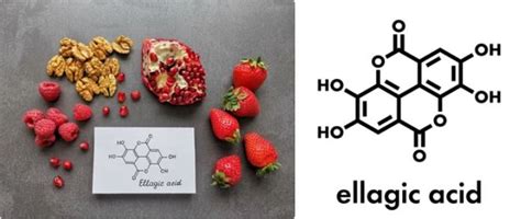 Ellagic Acid dalam Stroberi