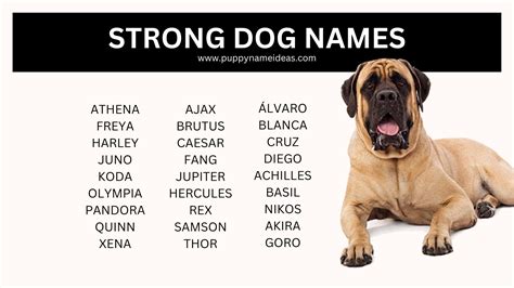 Strong Dog Names