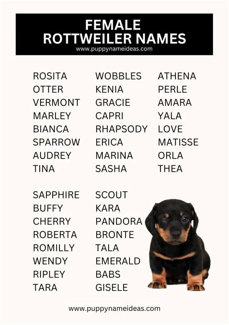 Strong Female Dog Names For Rottweilers