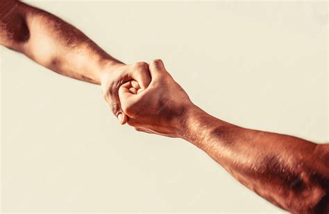 Strong Hold & Defining Mousse