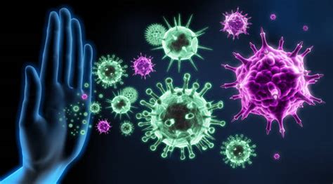 Strong Immune System