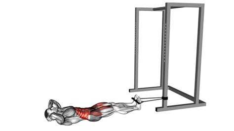 Stronger Abs: Bicycle Crunch Exercise Guide