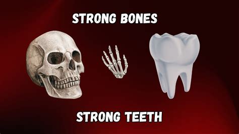 Stronger Bones and Teeth Image