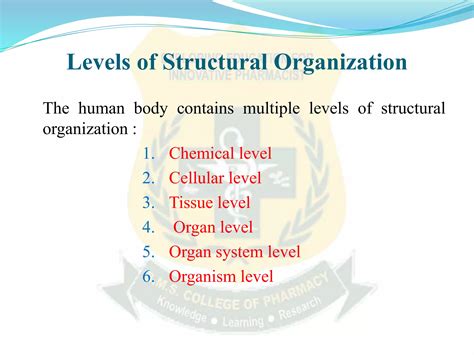 Structural and Organization Flaws