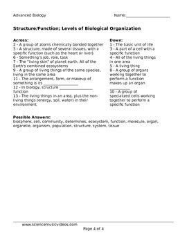 Structure and Function, Levels of Biological Organization Worksheet
