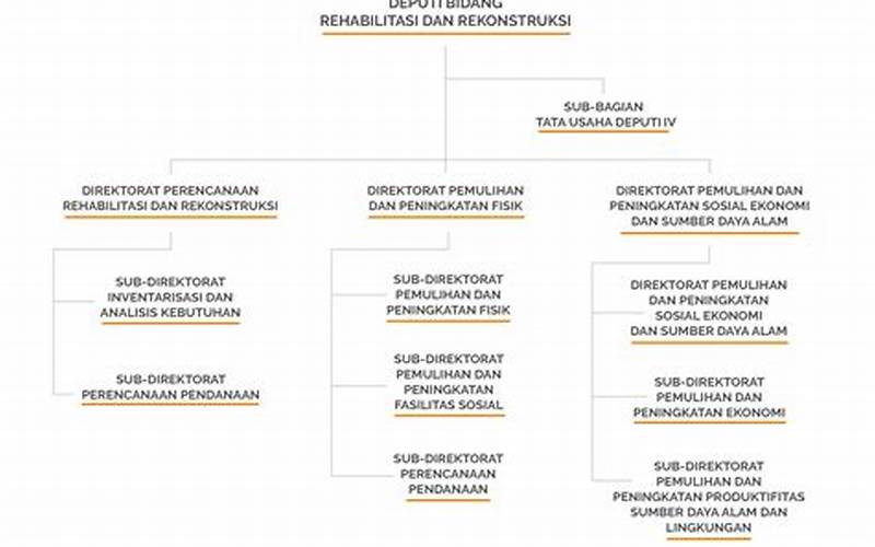 Struktur Organisasi Bnpb