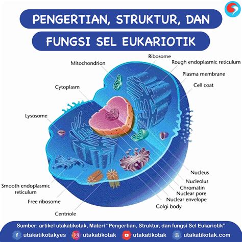 Struktur Kimia dalam Sel Indonesia