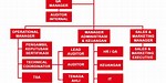 Struktur Organisasi Indonesia