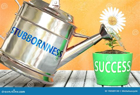 Stubbornness and Success