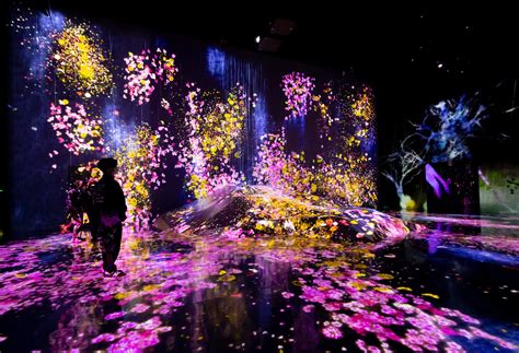 Stunning Visuals and Immersive Environments