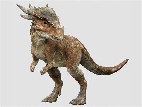 Physical Characteristics of Stygimoloch
