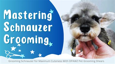 Styling Secrets for Maximum Cuteness