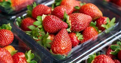 Sub Ce Forma Pot Fi Consumate Legumele