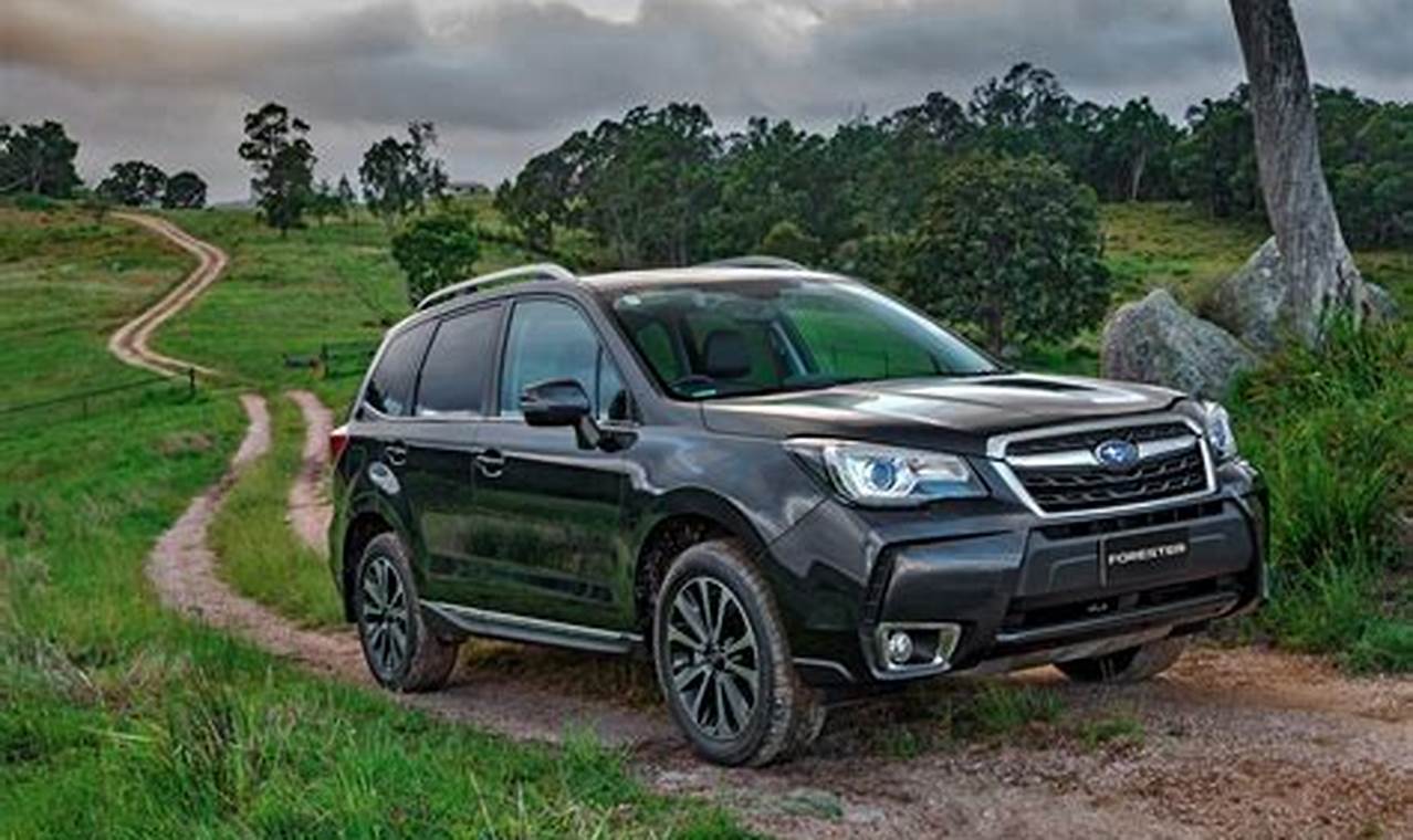 Discover the Subaru Forester: A Paragon of Adventure and Reliability