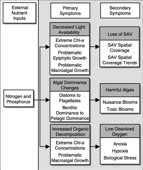 Subtle and Secondary Symptoms